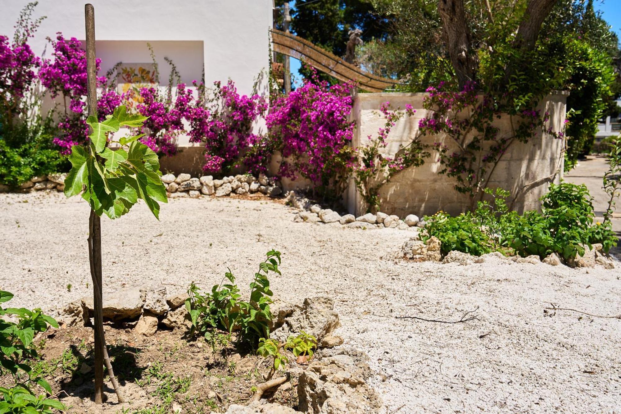Tenuta Belvedere Otranto Bagian luar foto