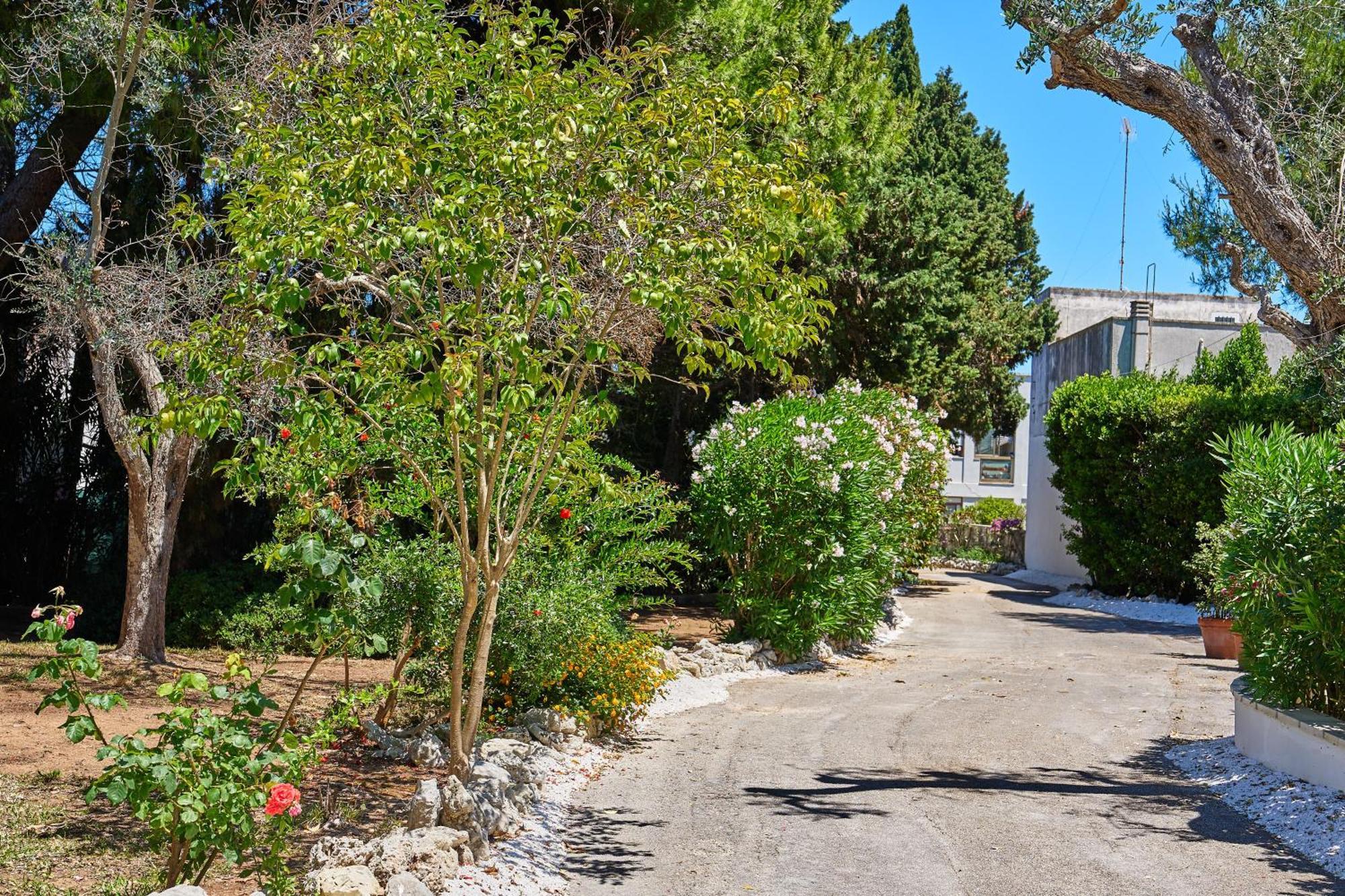Tenuta Belvedere Otranto Bagian luar foto